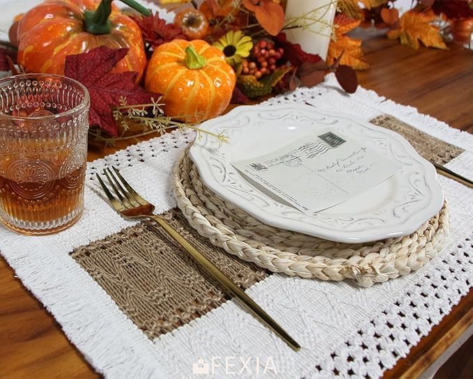 FEXIA Boho Placemats Set of 6, Macrame Table Mats Farmhouse Dining Decor
